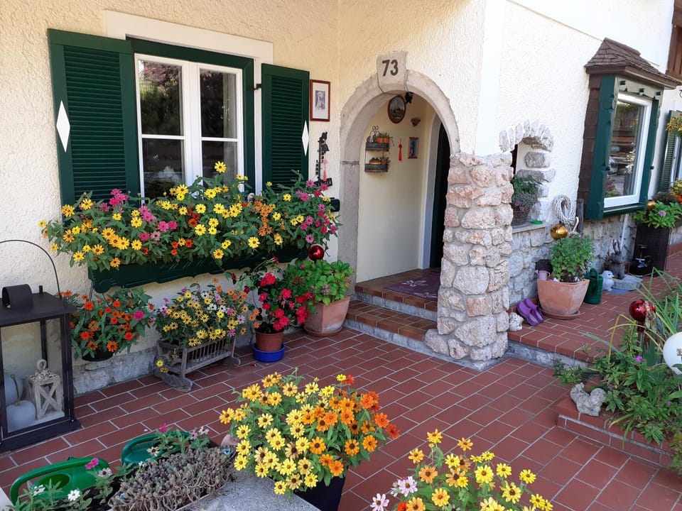 Haus Gertrude Hörack Apartment in Salzburgerland