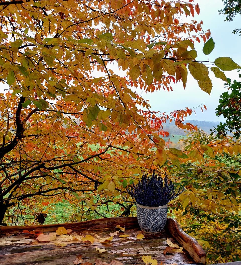 Natural landscape