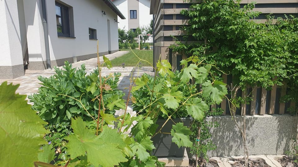 Relax Balaton Apartmanok Apartment in Hungary