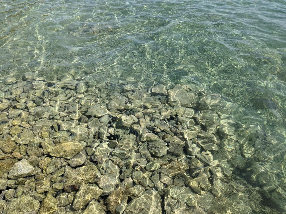 ground floor apartment 50m from beach Apartment in Šibenik-Knin County, Croatia