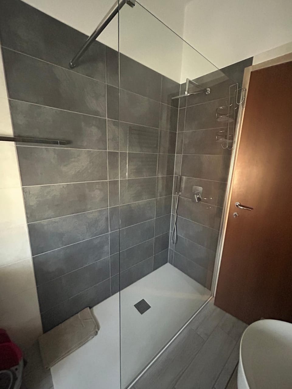 Bathroom, Living room