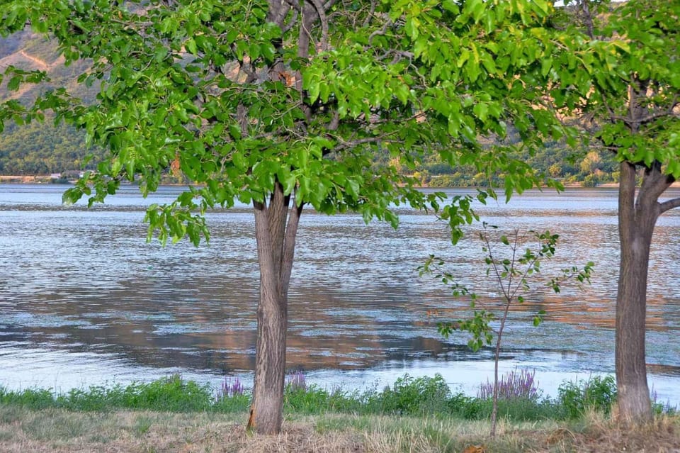 IDILA Villa in Serbia