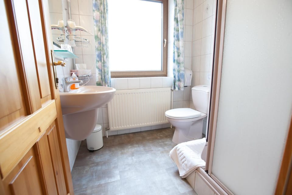 Toilet, Bathroom, towels