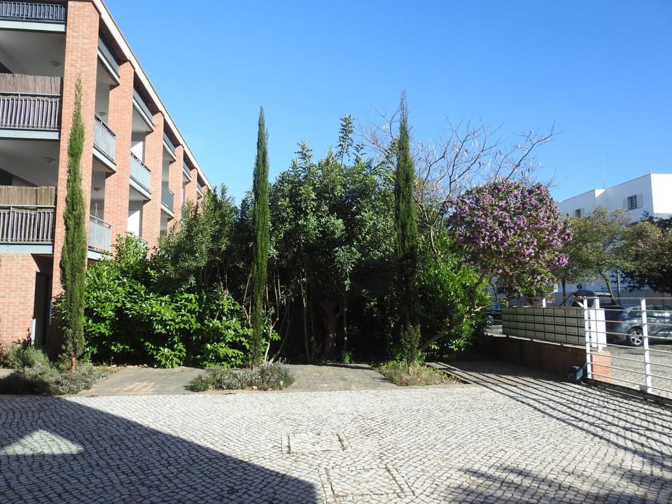 Garden, Garden