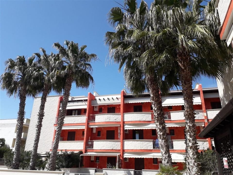 Property building, Day