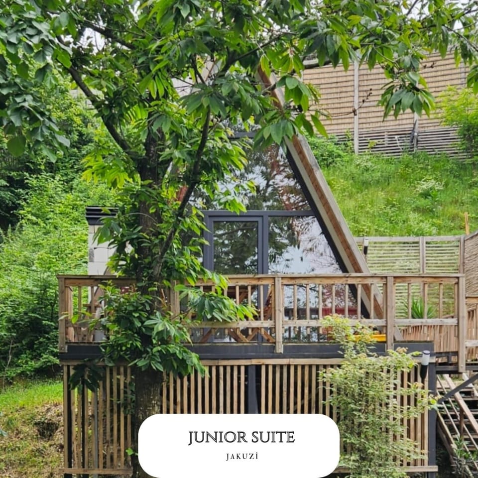 Property building, Day, Garden, Garden view