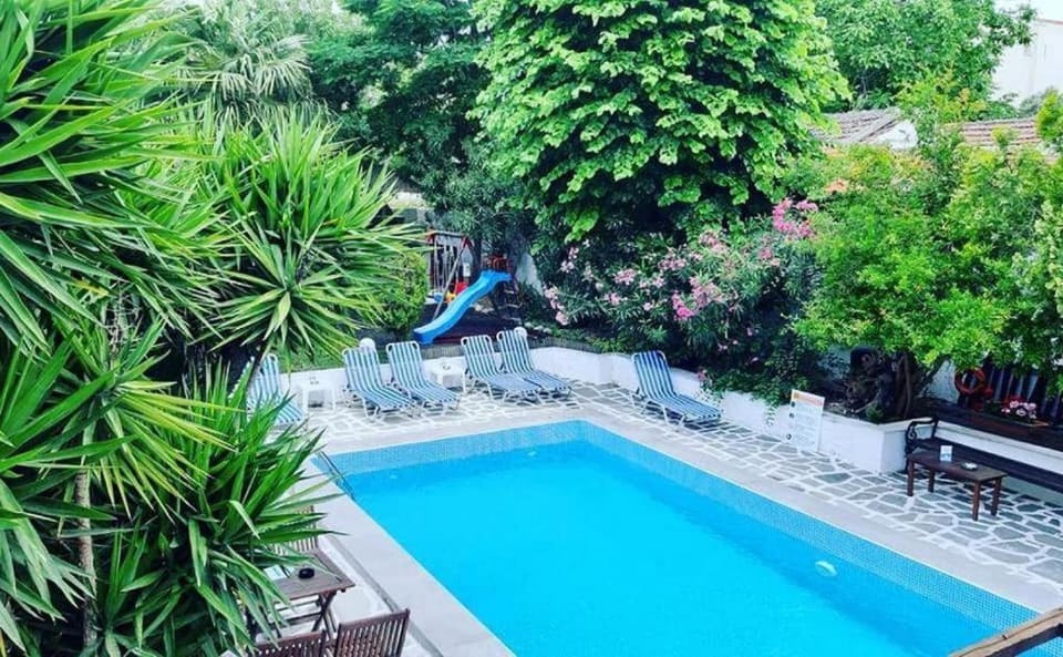Spring, Day, Garden, Garden view, Pool view, Swimming pool, Swimming pool, sunbed