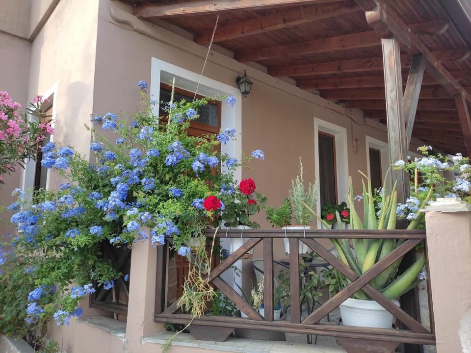 Patio, Facade/entrance, Balcony/Terrace