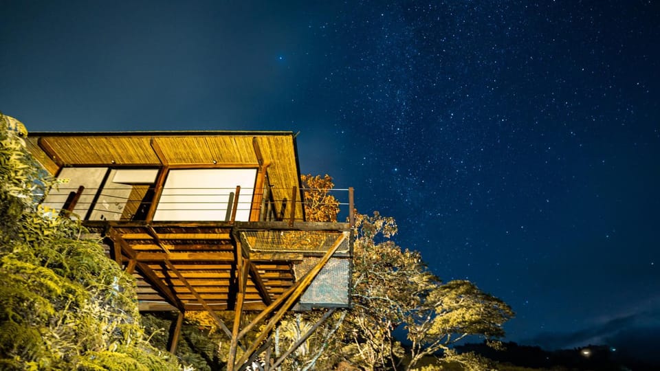 Night, Balcony/Terrace, Garden view