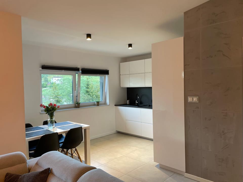 Apartament z klimatem II Apartment in Poland