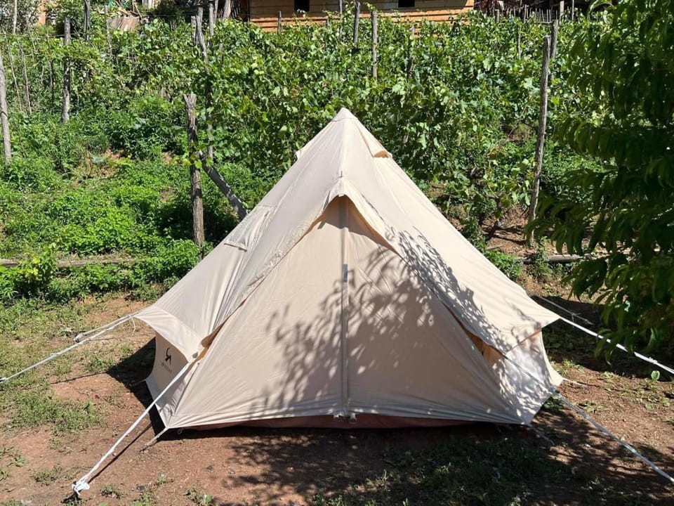 Neomalsore Agrotourism, Komani Lake Bed and Breakfast in Montenegro