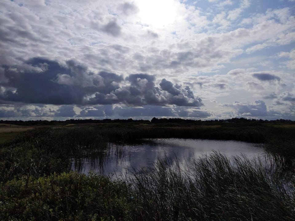 Lake view