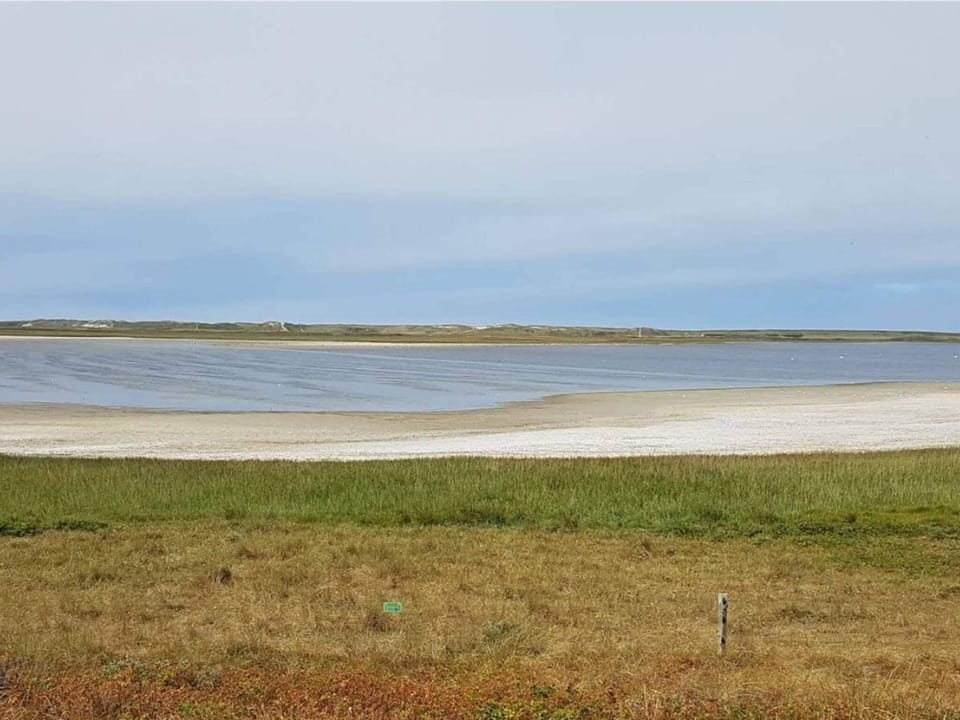 Lake view