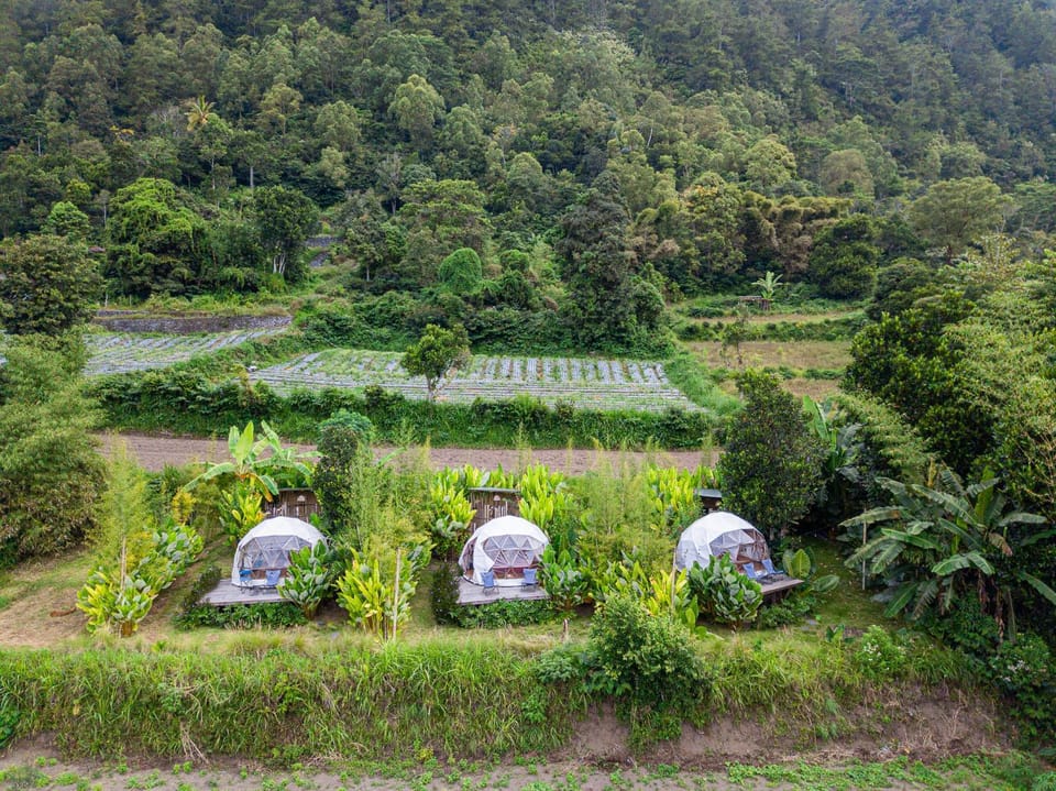 Neighbourhood, Natural landscape