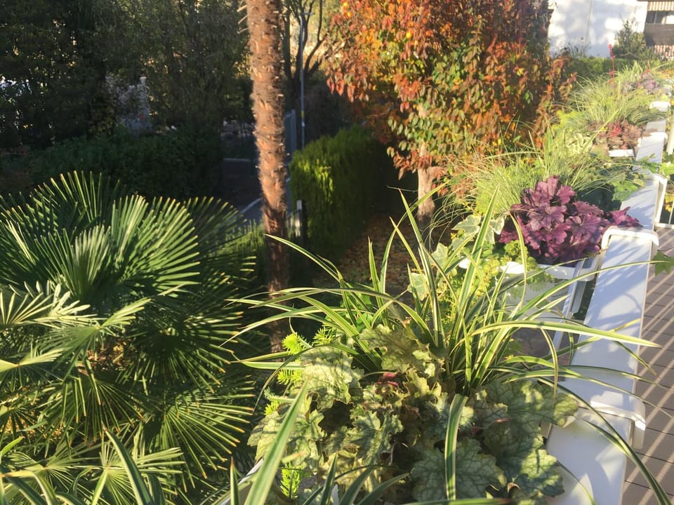 Apartment Villa Huber Apartment in Bolzano