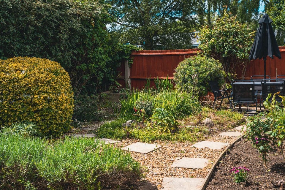 Patio, Garden, Garden view