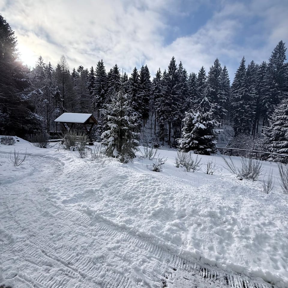 Ferienwohnungen Börnert am "Klingerbach" Apartment in Erzgebirgskreis