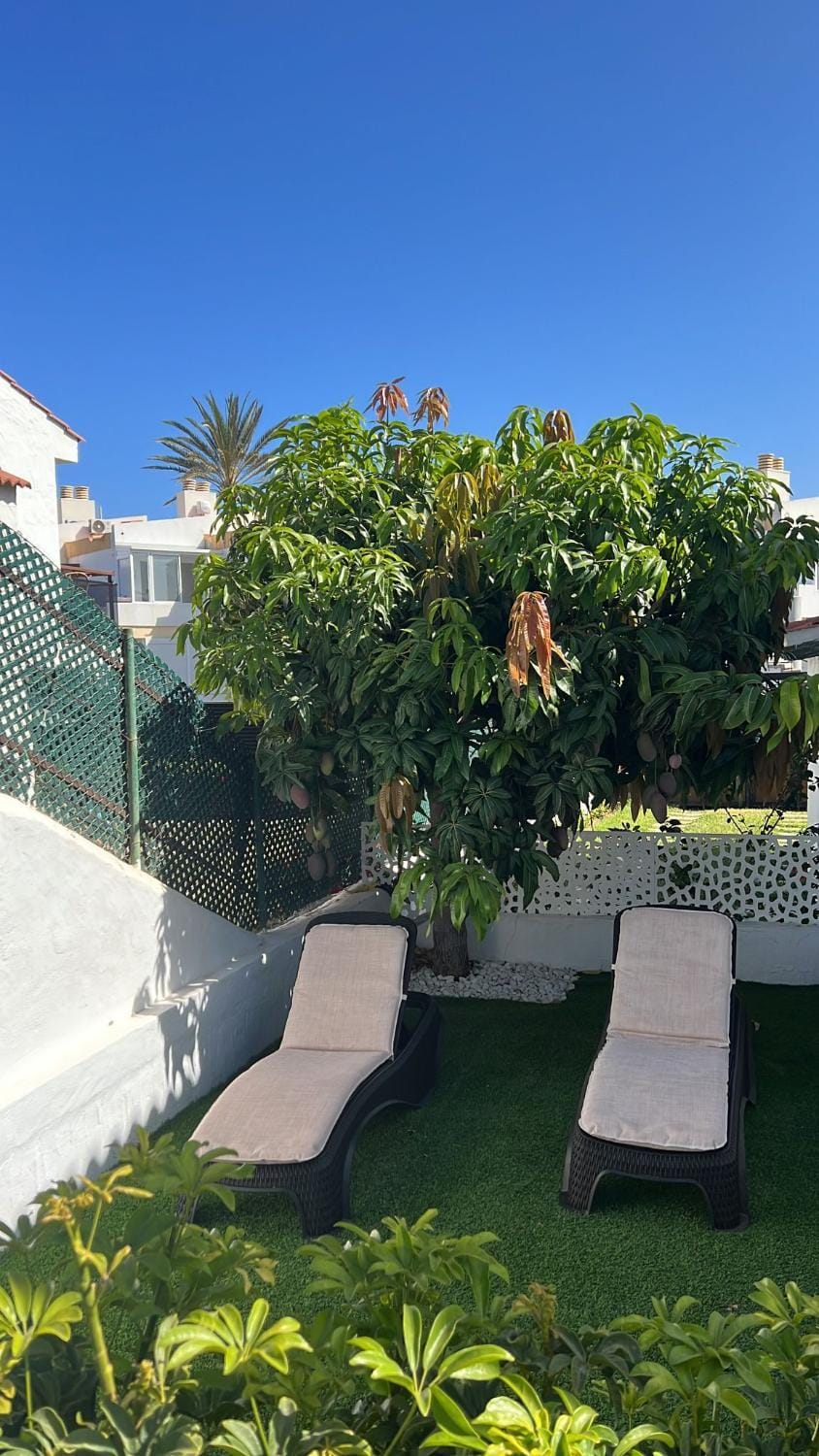 Las Burrras Buigues Beach Apartment in Maspalomas
