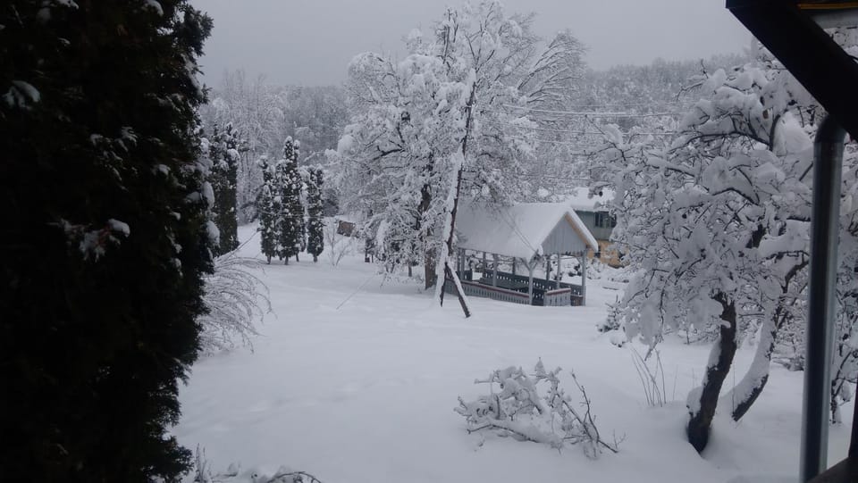 Winter