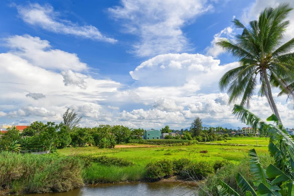 Natural landscape, Garden view