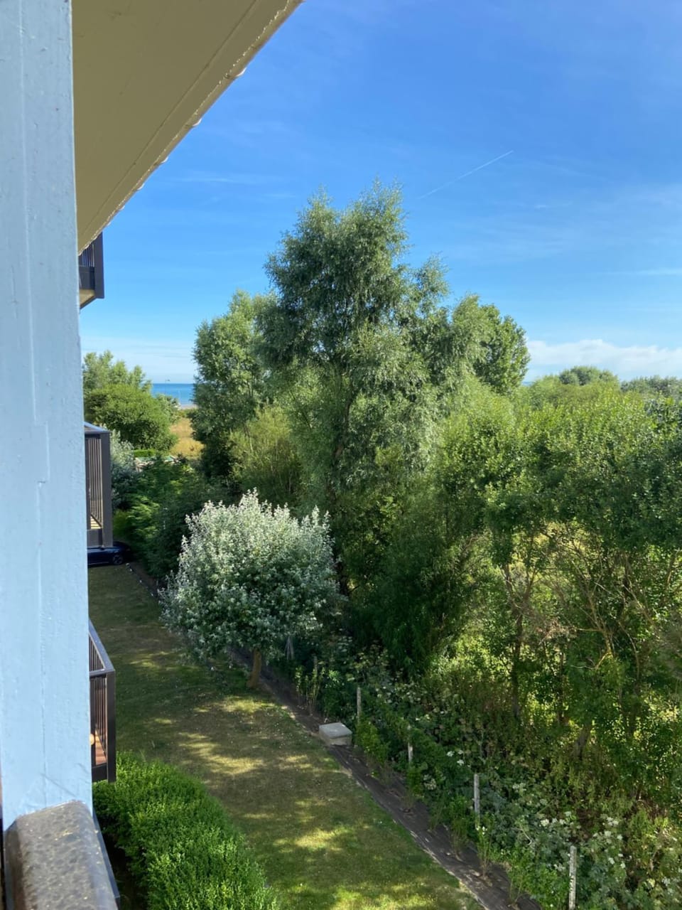 Garden view