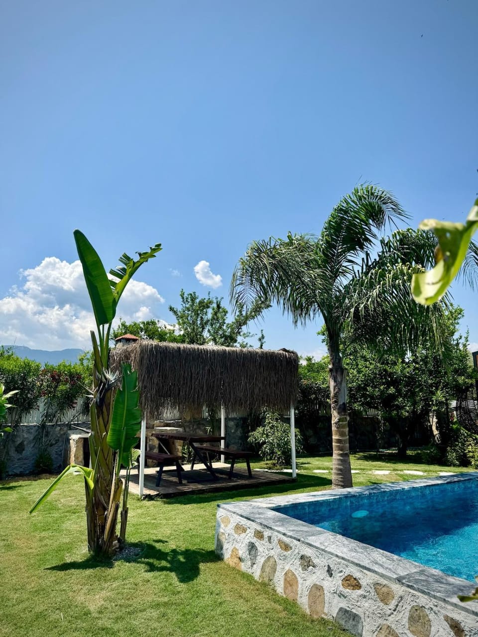 Day, Natural landscape, Garden, Garden view, Pool view, Swimming pool, sunbed