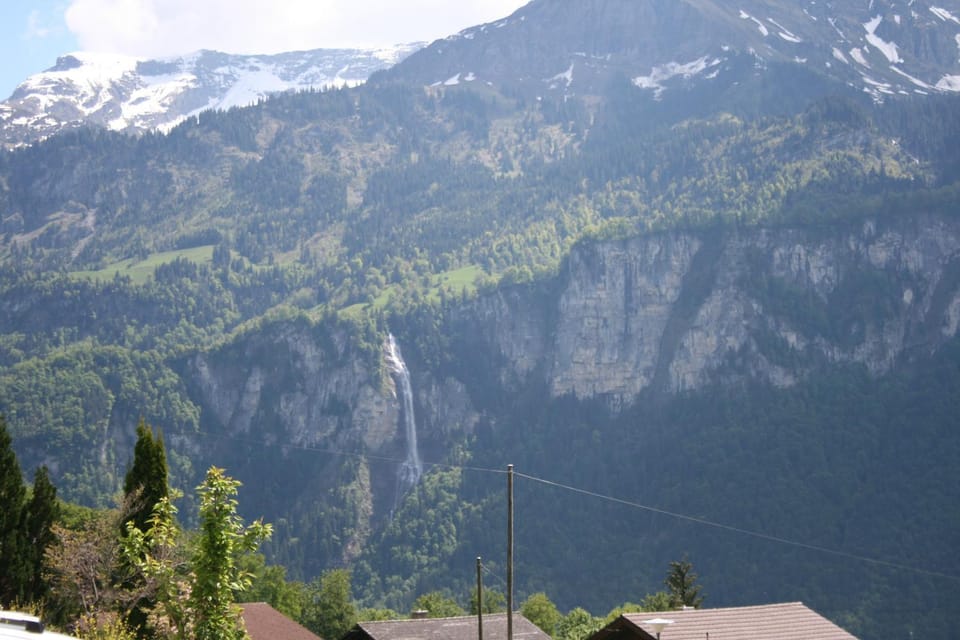 View (from property/room)