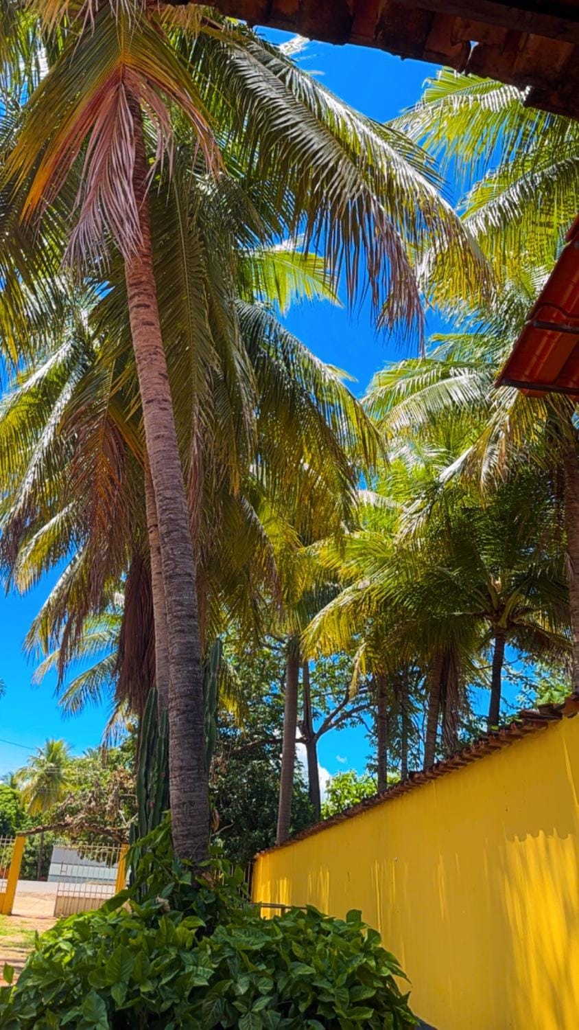 Pousada Peruaçu & Restaurante Apartment in State of Bahia