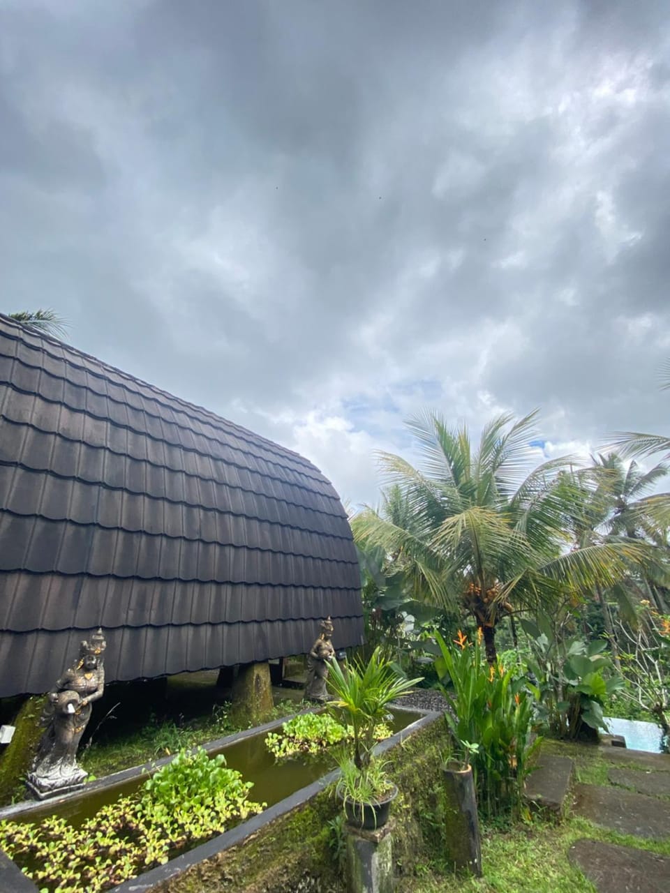 Property building, Garden, Garden view