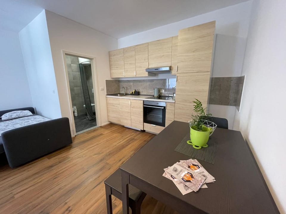 Ljubljana Studios Apartment in Ljubljana