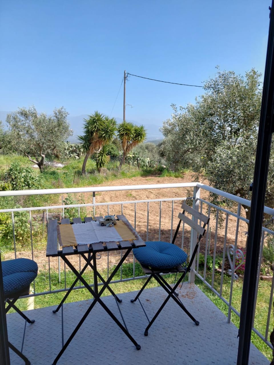 Garden view