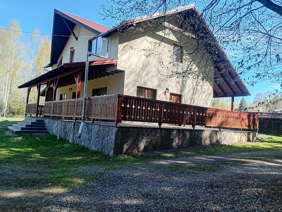 Fenyves Home House in Romania