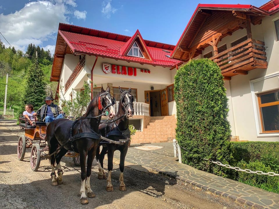 Property building, People, Natural landscape, Horse-riding, Animals, Area and facilities, Entertainment