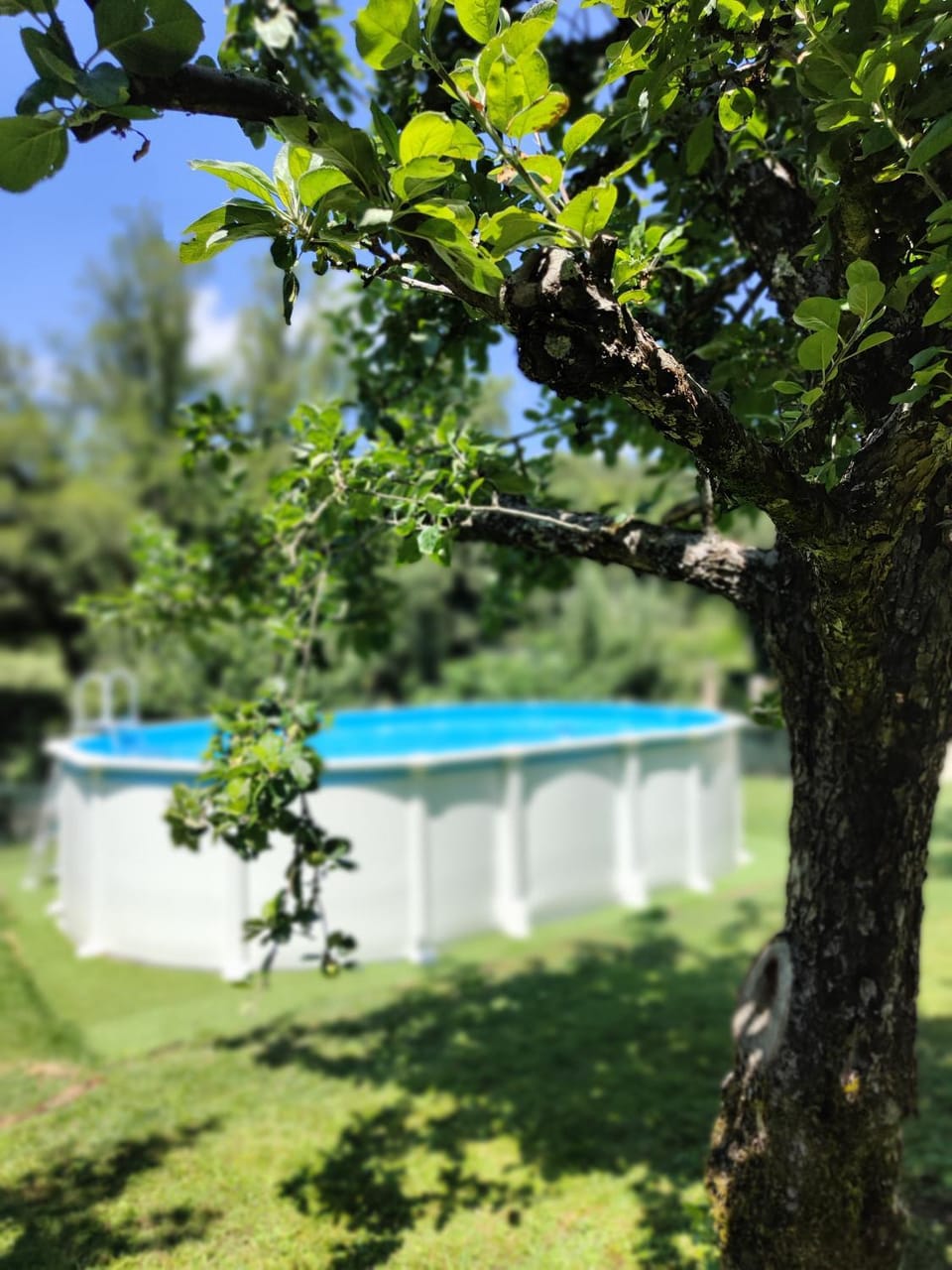 Garden, Swimming pool