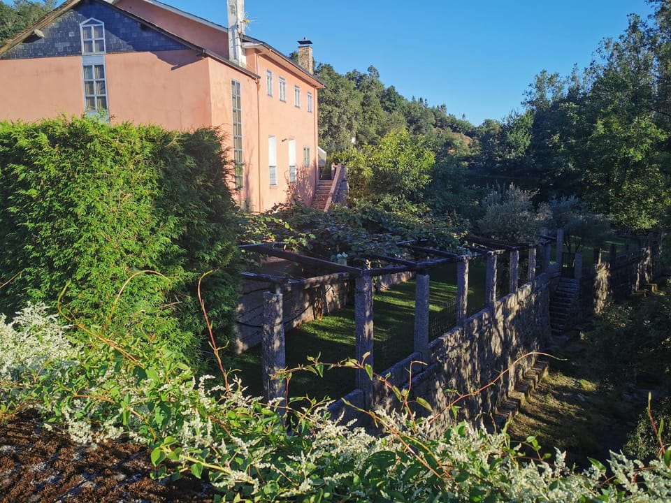 Day, Natural landscape, Garden, Garden view