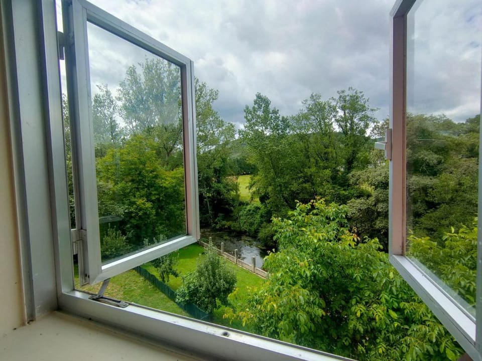 Day, Natural landscape, View (from property/room), Garden view