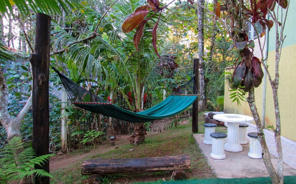 Patio, Garden, Garden view