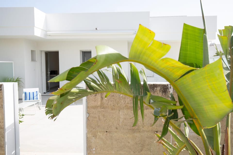 Property building, Facade/entrance, Summer, Garden