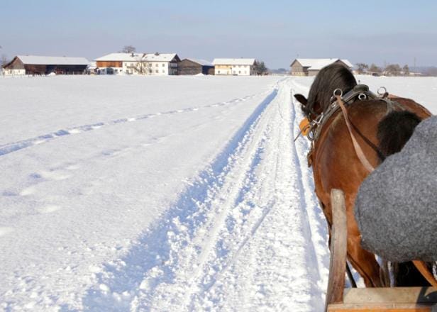 Springerhof Farm Stay in Bavaria