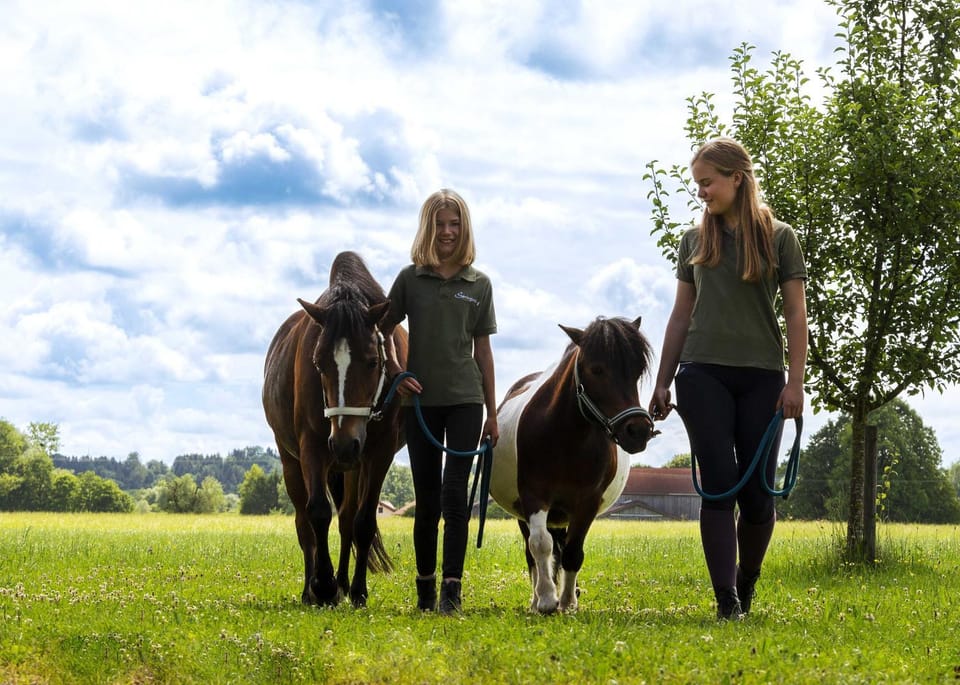 Springerhof Farm Stay in Bavaria
