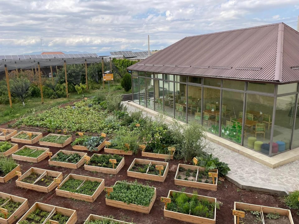 Patio, Garden, Garden view