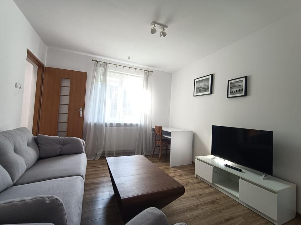 TV and multimedia, Seating area, Evening entertainment