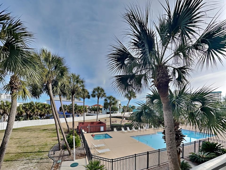 Natural landscape, Garden, Pool view, Swimming pool