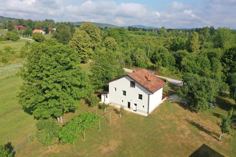 Neighbourhood, Bird's eye view