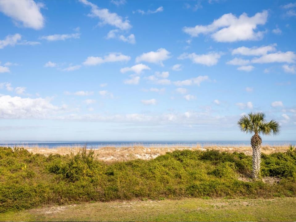Natural landscape, Beach, Sea view