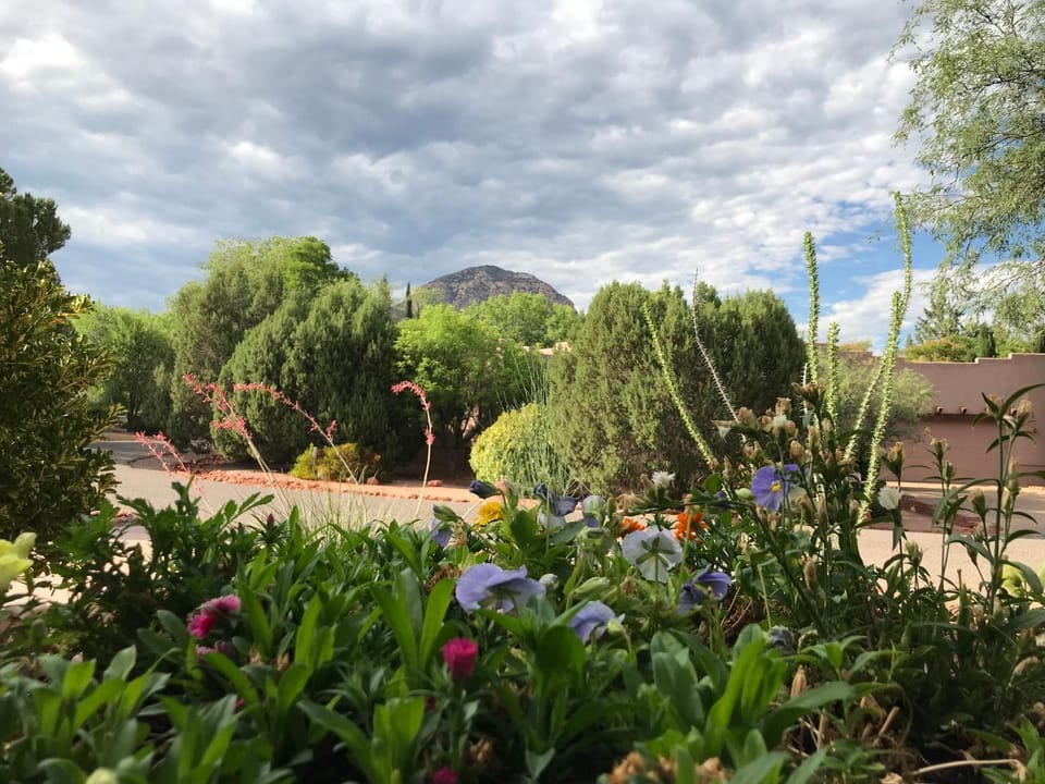 View (from property/room)