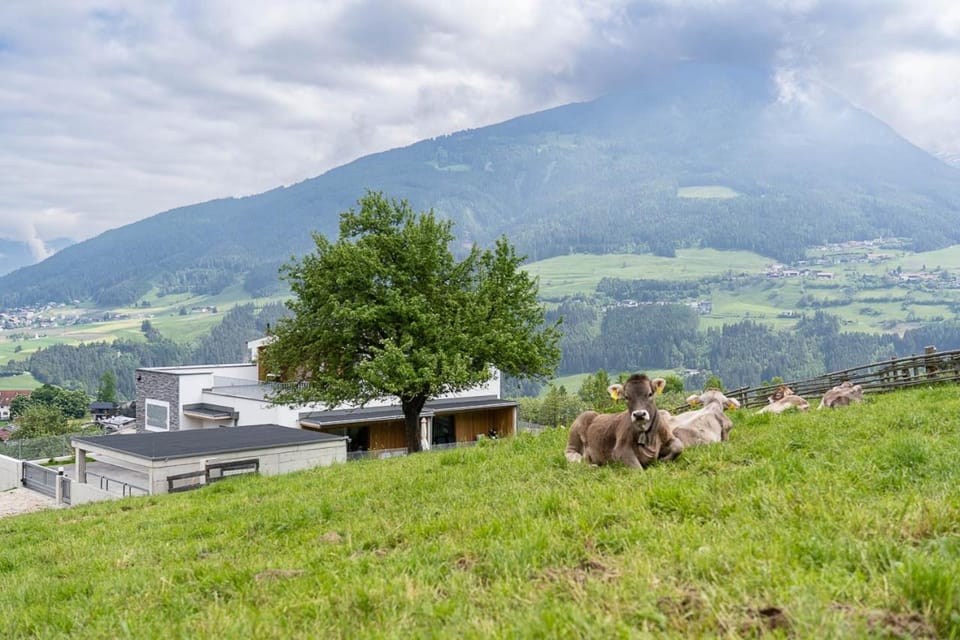 Natural landscape