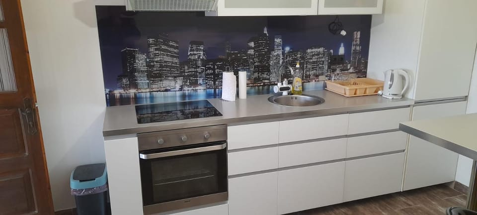 Kitchen or kitchenette, minibar, oven