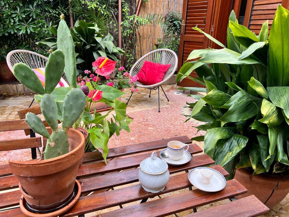 Patio, Spring, Garden, Garden view