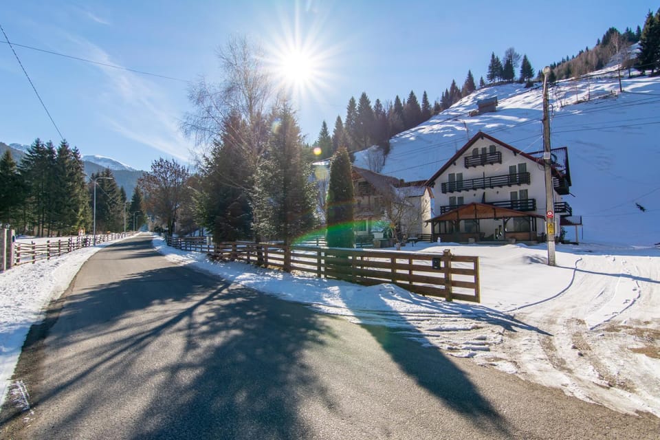 Vila Mesteacanul Bed and Breakfast in Brașov County